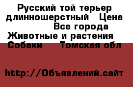 Русский той-терьер длинношерстный › Цена ­ 7 000 - Все города Животные и растения » Собаки   . Томская обл.